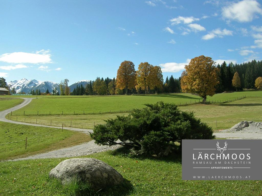 Appartements Laerchmoos Ramsau am Dachstein Exterior foto