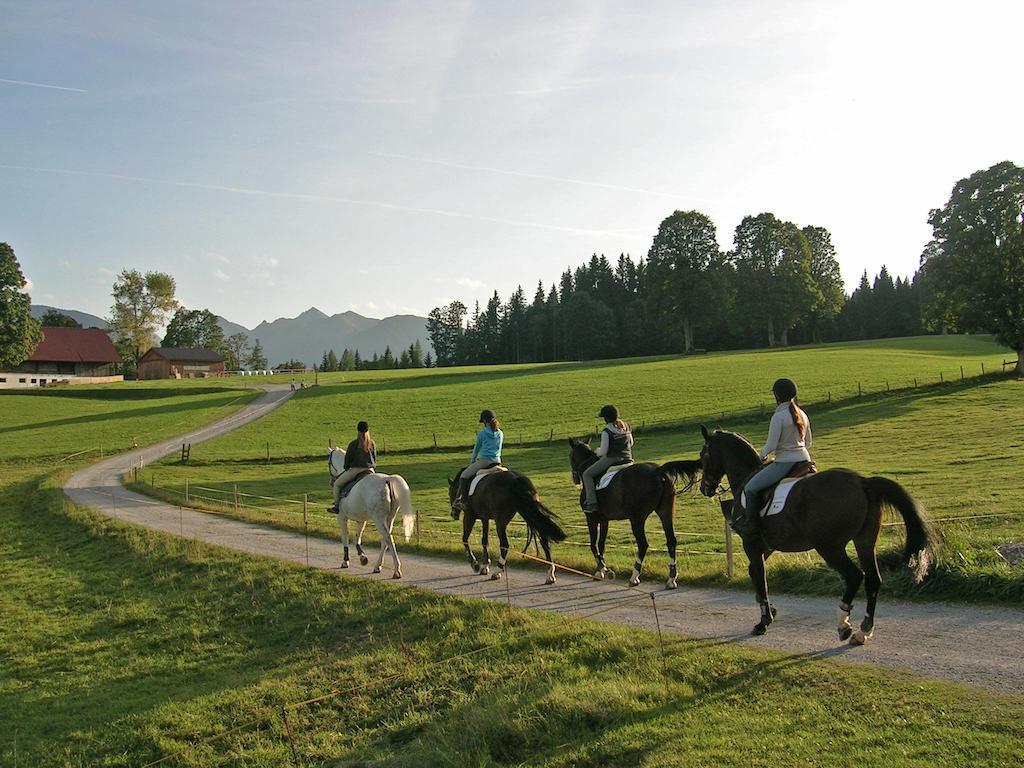 Appartements Laerchmoos Ramsau am Dachstein Exterior foto