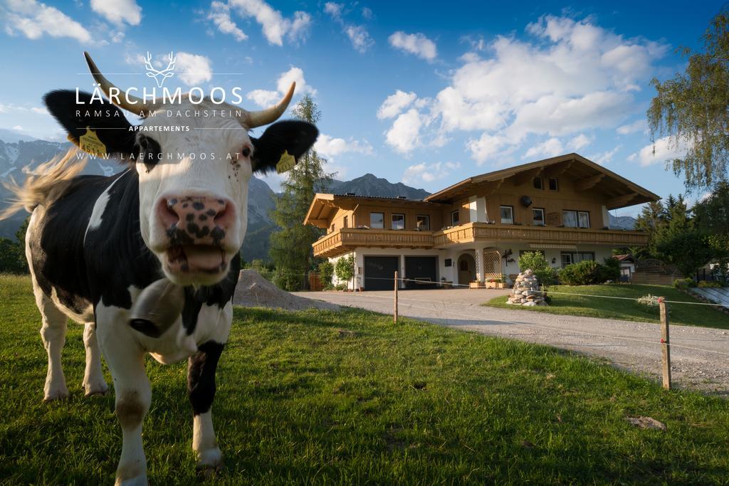 Appartements Laerchmoos Ramsau am Dachstein Exterior foto